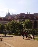 alamo