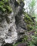 natalit - 